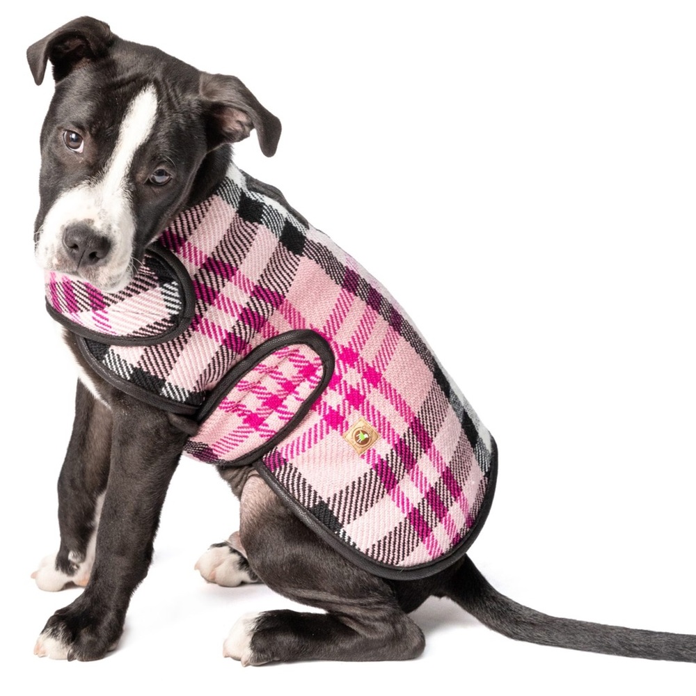 Chilly Dog dog coat, size S